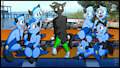 Mcnus in the Dewott Group