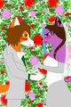 Wedding Day