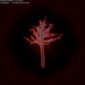 Springlight from the Core of Oblivion