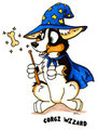 Corgi Wizard