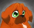 Sad Peke by ChewPekingese