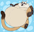 Bubble Griffon
