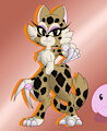cat lady