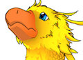 Chocobo! :D