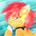 Playing with brushes by Dirtypawz