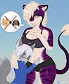 Of cats and dogs by Sewa