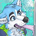 Dustin winter icon