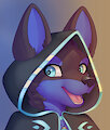 Stormy Wolf portrait