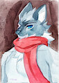Softcore Collar