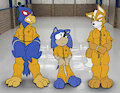 Commission - Prisoners