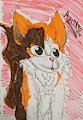 My Cat April~!