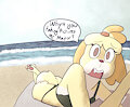 The dog at the beach by hdmi