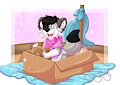 The pirate princess' boat !