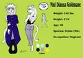 Nini reference sheet