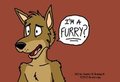 I'M A FURRY ? by stanellio