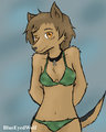 Jessy the Shepherd by BlueEyedWolf