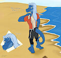Therm's Beachside walk - gift for Danji by Leomane
