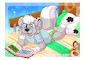 Reading Before Bed