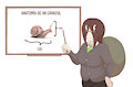 Leccion de anatomia con Estela.