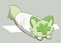 Sprigarrito