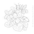 Rodentday - Violet Flower Fae