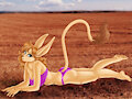Jerboa Plains
