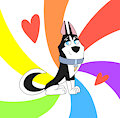 Hansel the Handsome Husky
