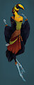 Saria Hills the Toucan from SpectreOSZ by masterreviewer1000