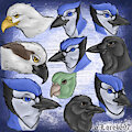 Avian Sketch Page (Color)