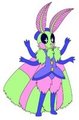 Moth 