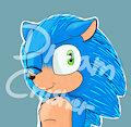 Sonk