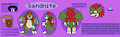 Ref sheet Sandnite