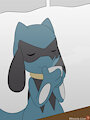 Riolu