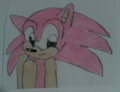 Pink Sonic 2022