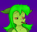 That one weird time i was made an NFT by Animew
