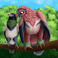 Lovely birbs