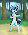 ProHusky
