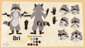 Bri the Raccoon 2022 Ref Sheet (PG Nude)