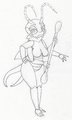 Earwig 