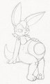 Belly 