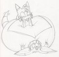 Squishy rounds 