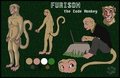 Furison ref by jesslyra