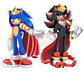 King Sonic x King Shadow