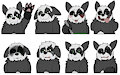 Ray the Pangoose - Telegram Stickers