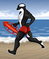 Orca Lifeguard