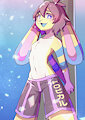 Commission-Commissioner's OC