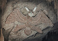The Seraph