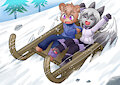 Sledding