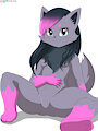 [Commission] Zorua