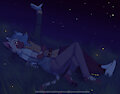 A Night Under the Stars